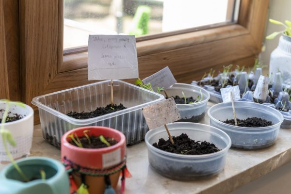 Turkusowa_szkola_210428__JLK6266