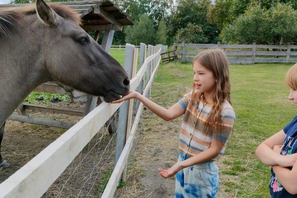 0361aa5d-aa52-47cc-bc62-f4b4967872d9