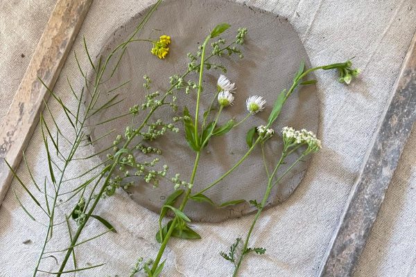 73ff6b9b-7b30-4455-af4b-b881028d17b1