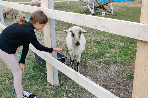 7471a46d-c274-4855-b796-64316b4daf4d