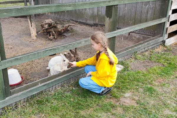 8558fdb8-a273-4c90-b3fc-e79711a8465a